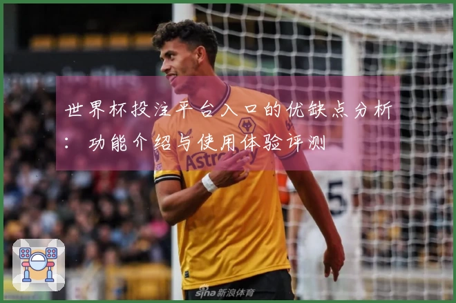 世界杯投注平台入口的优缺点分析：功能介绍与使用体验评测