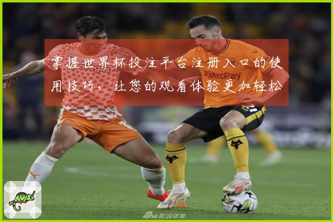 掌握世界杯投注平台注册入口的使用技巧，让您的观看体验更加轻松愉悦