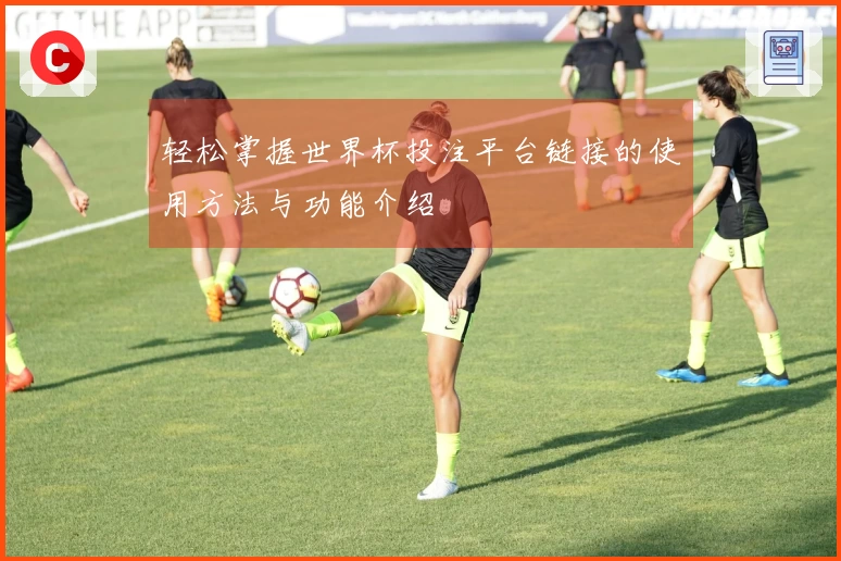 轻松掌握世界杯投注平台链接的使用方法与功能介绍
