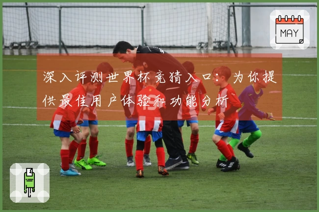 深入评测世界杯竞猜入口：为你提供最佳用户体验和功能分析