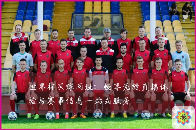 世界杯买球网址：畅享无缝直播体验与赛事信息一站式服务