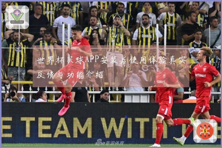 世界杯买球APP安装后使用体验真实反馈与功能介绍