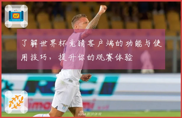 了解世界杯竞猜客户端的功能与使用技巧,提升你的观赛体验