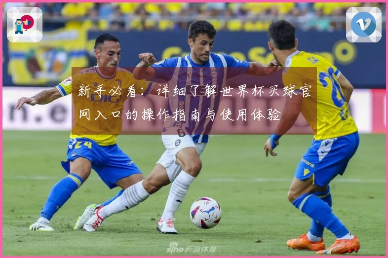 新手必看：详细了解世界杯买球官网入口的操作指南与使用体验