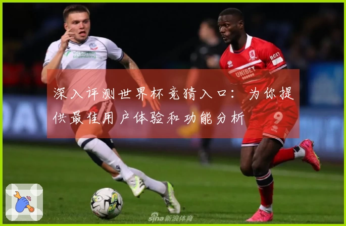 深入评测世界杯竞猜入口：为你提供最佳用户体验和功能分析